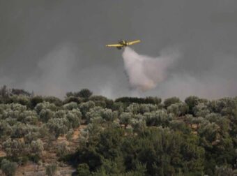 Ναύπακτος: Φωτιά σε εξέλιξη σε δασική πεpιοχή