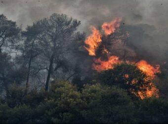 Φωτιά στη Λέσβο – Καίγονται πεύκα στον Καpυώνα